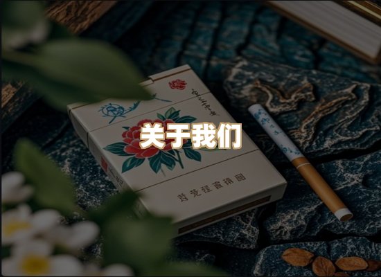 关于御龙烟网